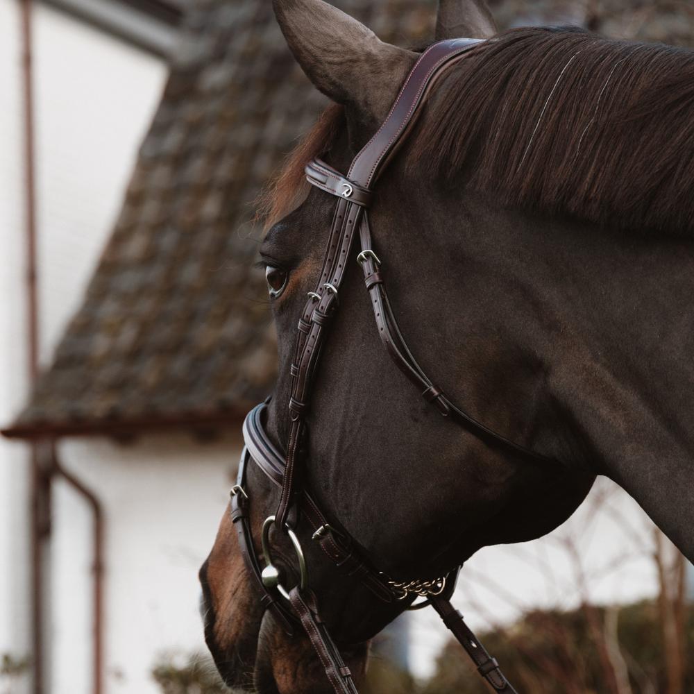 Bridles
